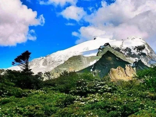 全擎集結(jié) 馳騁云滇 江西五十鈴哈巴雪山探秘之旅火熱進行中第1張